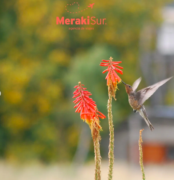 Meraki_agencia_de_turismo_en_La_Giua_Esquel
