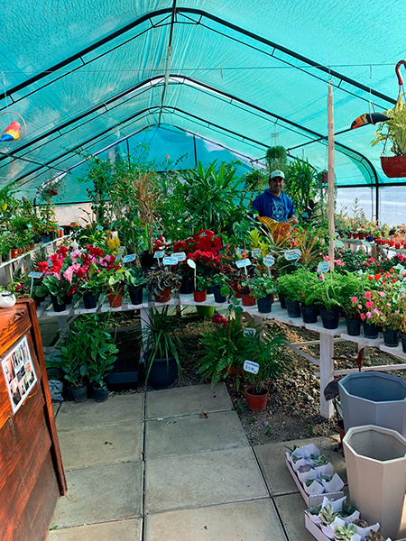 VIVERO_ZONA_VERDE_EN_LA_GUIA_ESQUEL