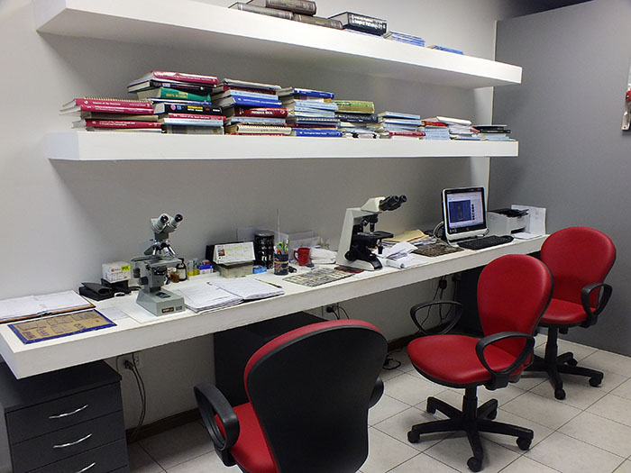 Laboratorio Salvagno – García Krebs