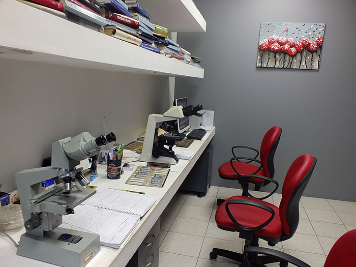 laboratorio salvagno esquel