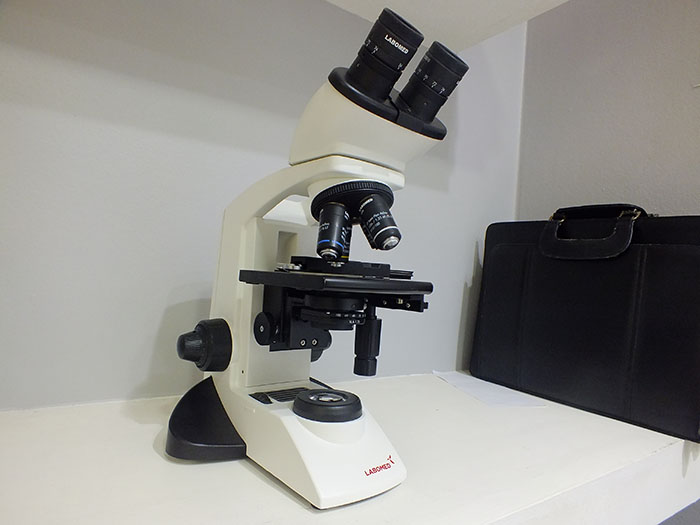laboratorio beatriz salvagno esquel