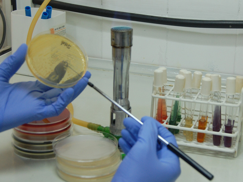 laboratorio imic en la guia esquel