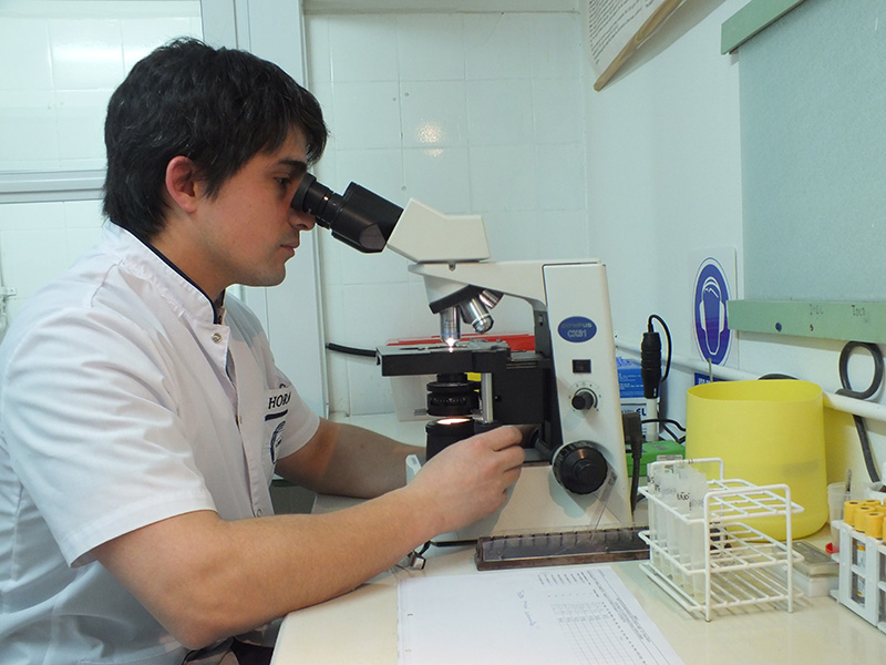 laboratorio imic en la guia esquel