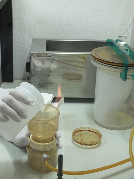 laboratorio imic en la guia esquel