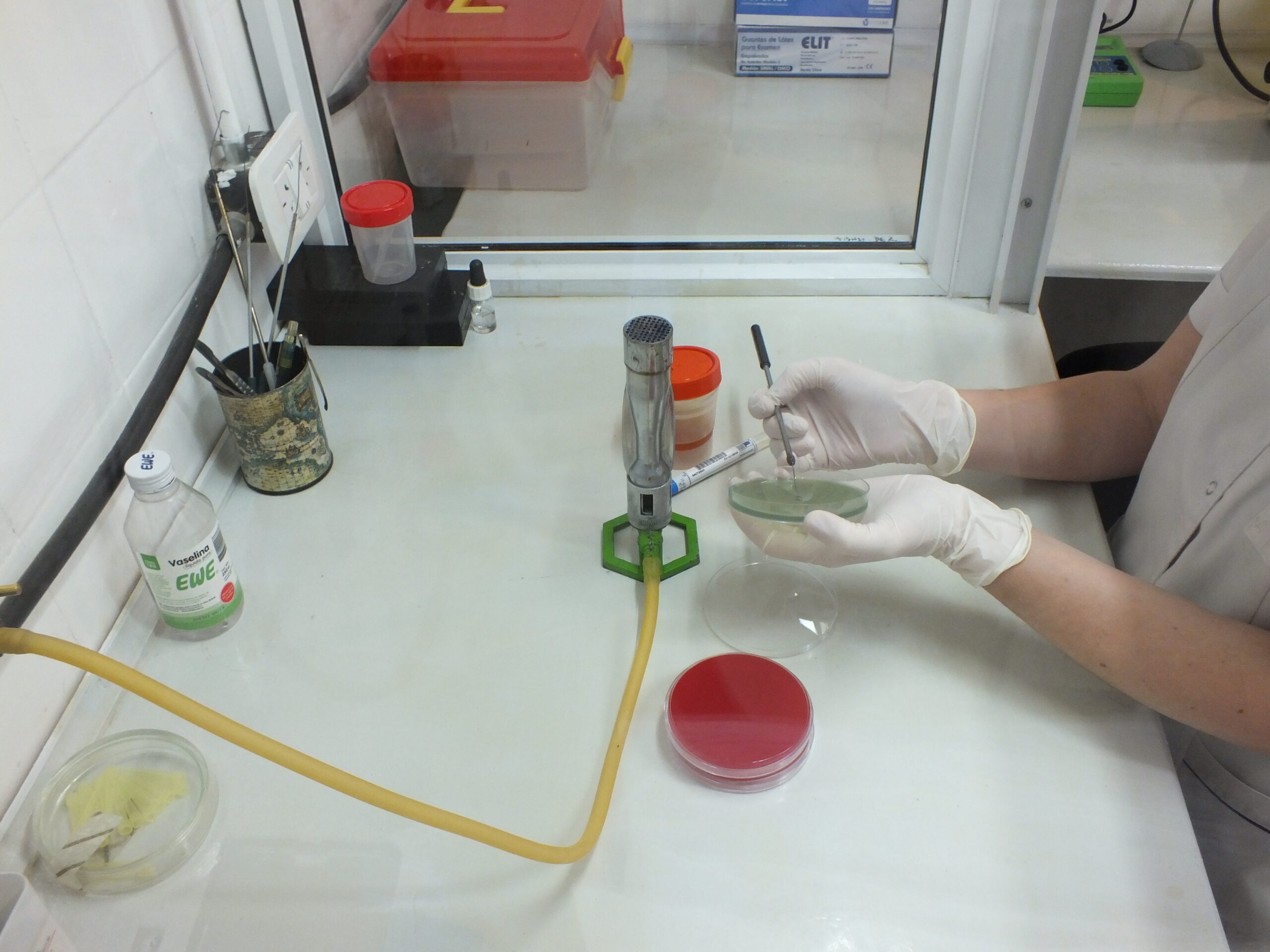 laboratorio imic en la guia esquel