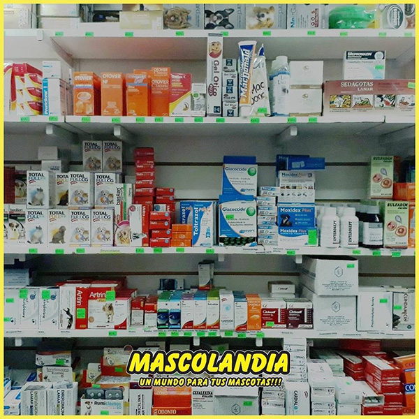 mascolandia en La Guia Esquel