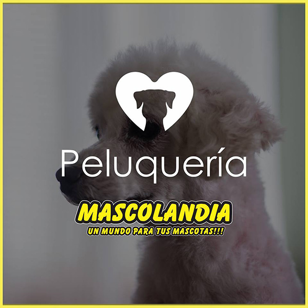 mascolandia en La Guia Esquel