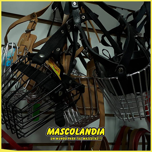 mascolandia en La Guia Esquel