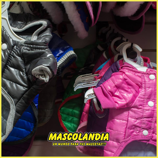 mascolandia en La Guia Esquel