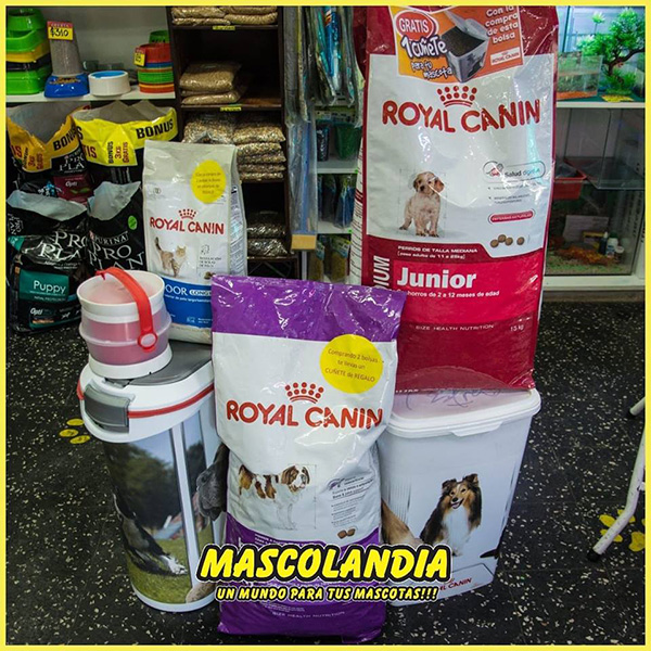 mascolandia en La Guia Esquel