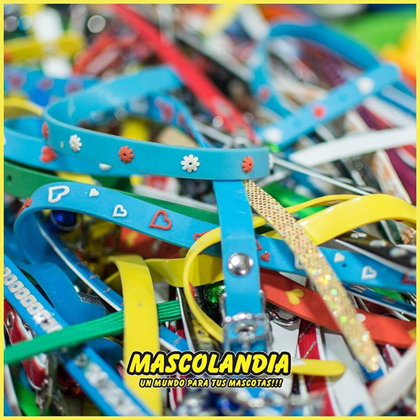 mascolandia en La Guia Esquel