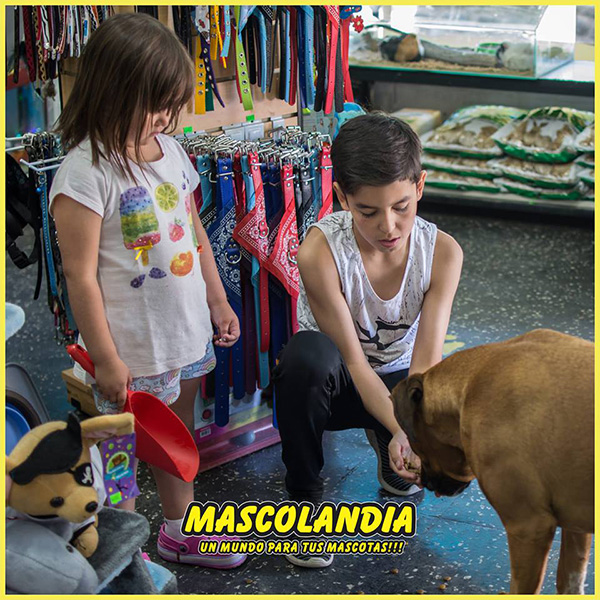 mascolandia en La Guia Esquel