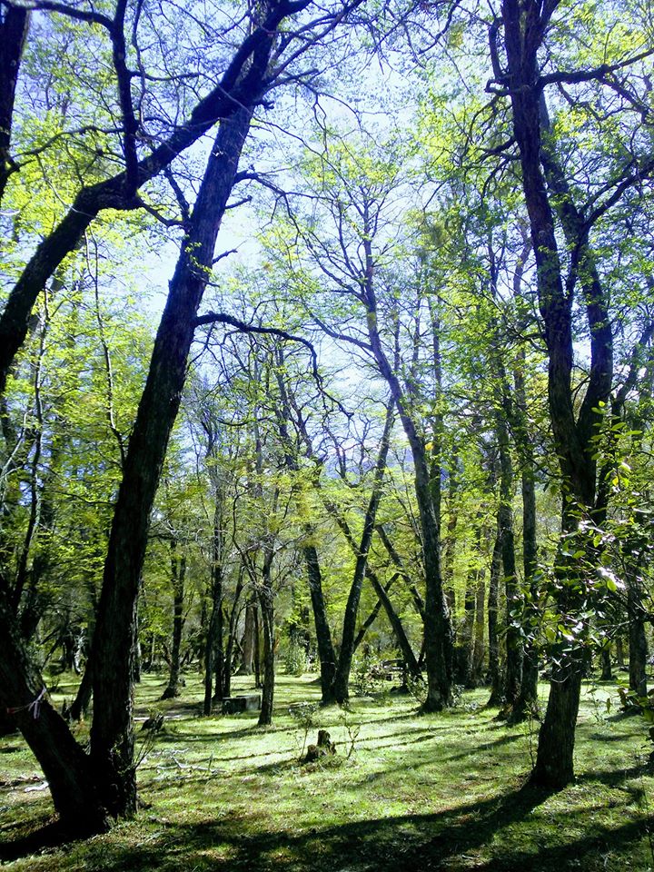 Bahia Solis Camping Esquel