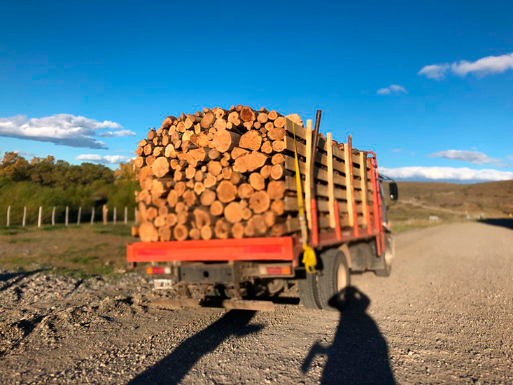Cisca_en_la_guia_esquel_3