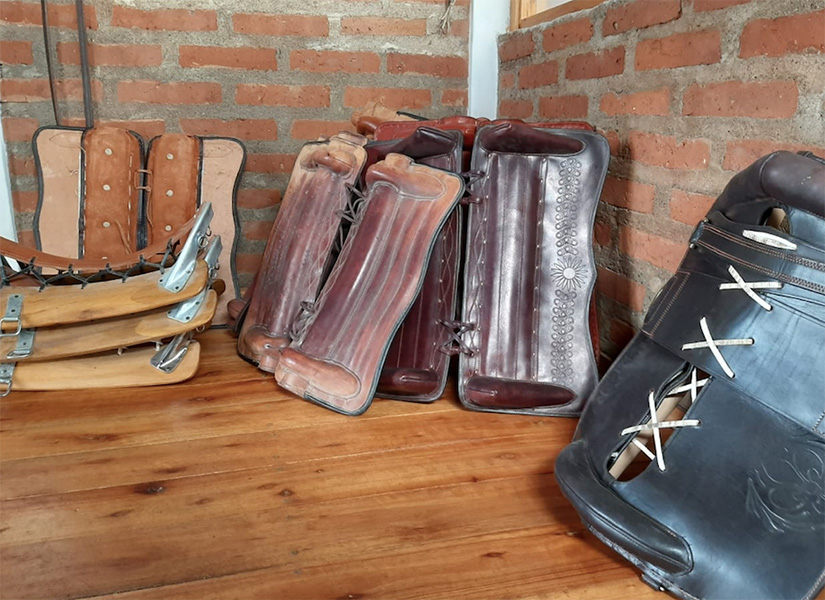 Veterinaria_El_Sol_en_La_Guia_Esquel