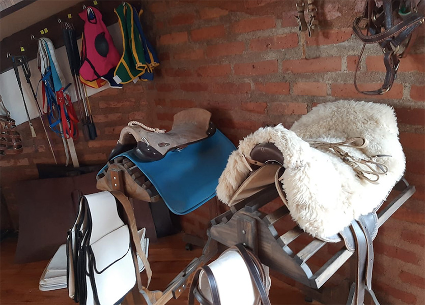 Veterinaria_El_Sol_en_La_Guia_Esquel