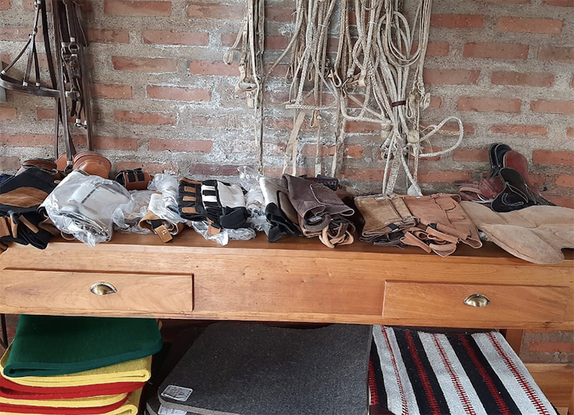 Veterinaria_El_Sol_en_La_Guia_Esquel