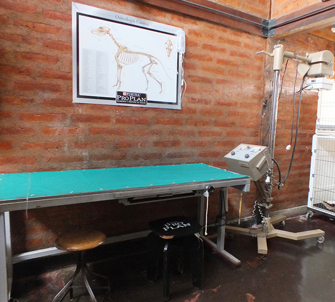 Veterinaria_El_Sol_en_La_Guia_Esquel