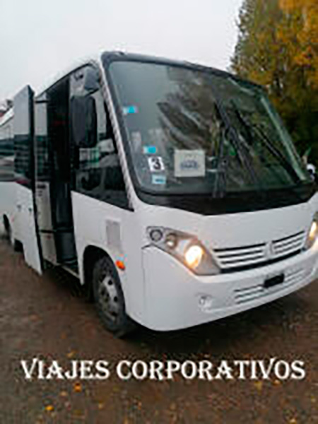Remis_Nevada_en_La_Guia_Esquel