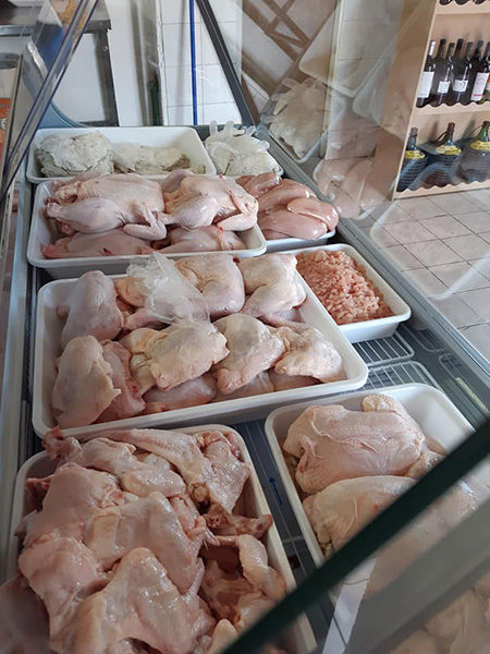 El_NUevo_Pollo_en_La_Guia_Esquel