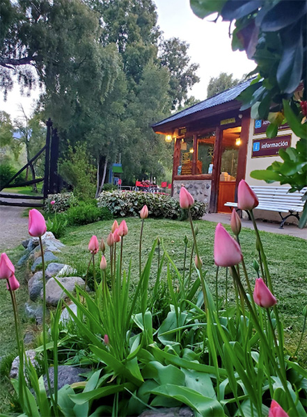 Camping_Los_Maitenes_en La Guia Esquel