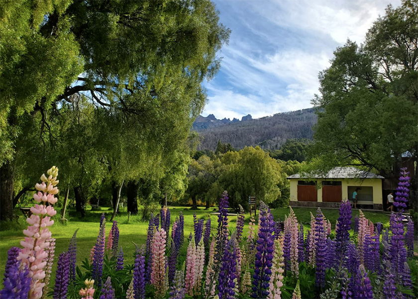 Camping_Los_Maitenes_en La Guia Esquel