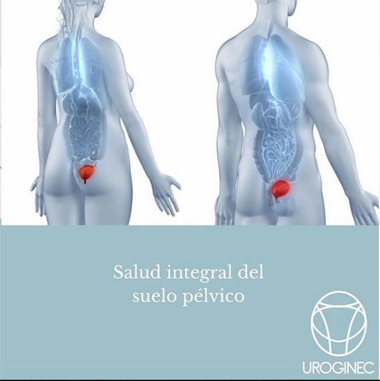 Uroginec Uroginecologia en La Guia Esquel