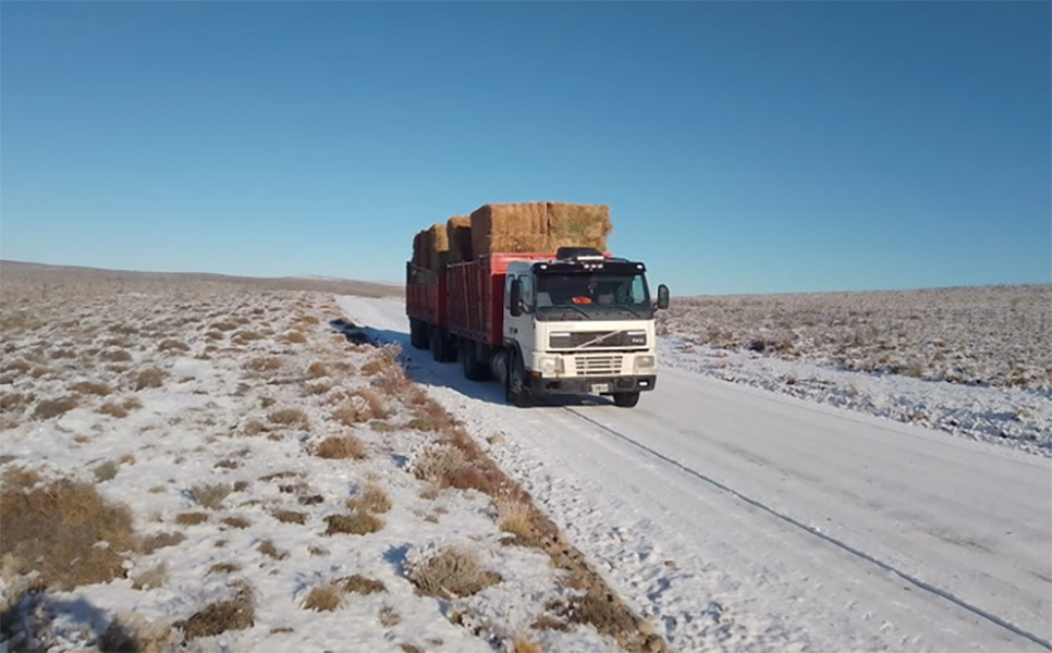 Transporte Coronado