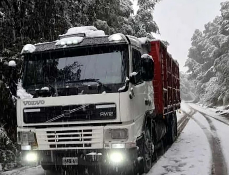 transporte_coronado_mudanzas_en_la_guia_esquel