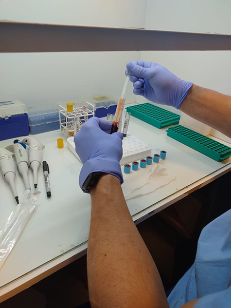 centro_traumatologico_en la guia esquel