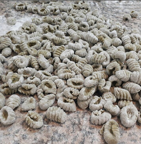 Camila Pastas en La Guia Esquel