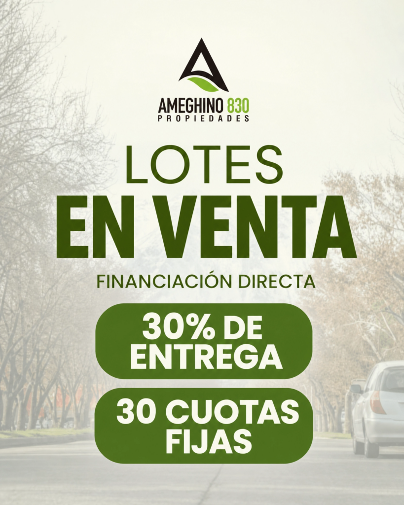 Ameghino 830 Propiedades