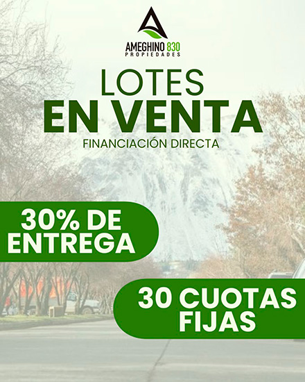 Ameghino_830_propiedades_en_La_Guia_Esquel_