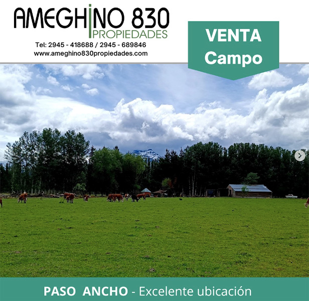 Ameghino_830_propiedades_en_La_Guia_Esquel