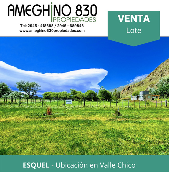 Ameghino_830_propiedades_en_La_Guia_Esquel
