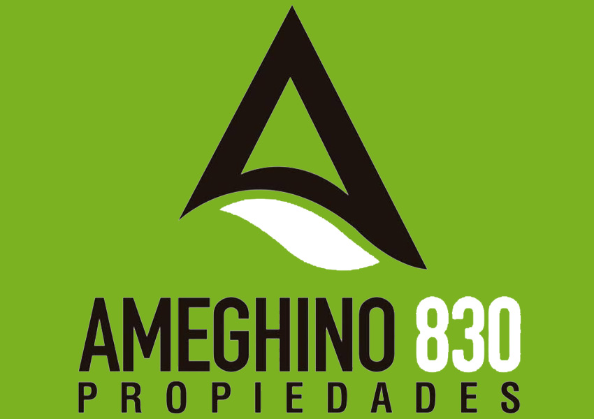 Ameghino 830 Propiedades