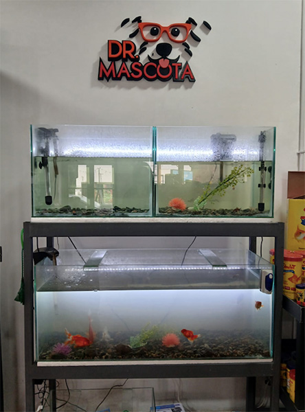 Dr_Mascota_en_La_Guia_Esquel
