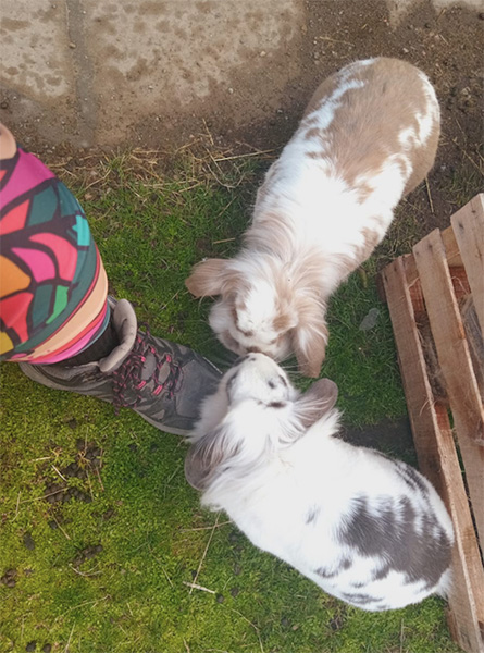 Camila_cuida_tu_hogar_y_tus_mascotas_en_La_Guia_Esquel