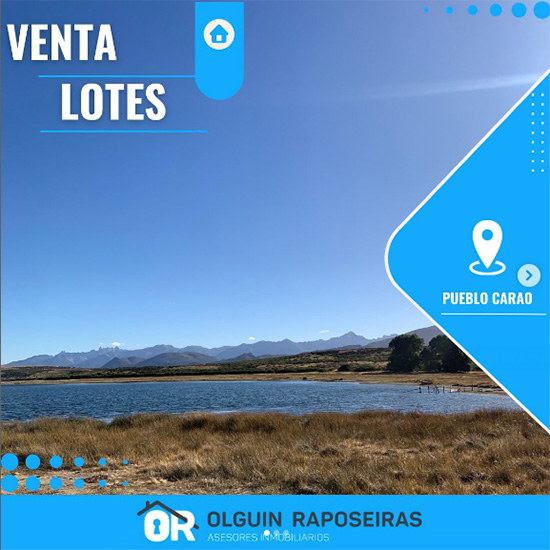 Olguin_Raposeiras_inmobiliaria_en_La_Guia_Esquel