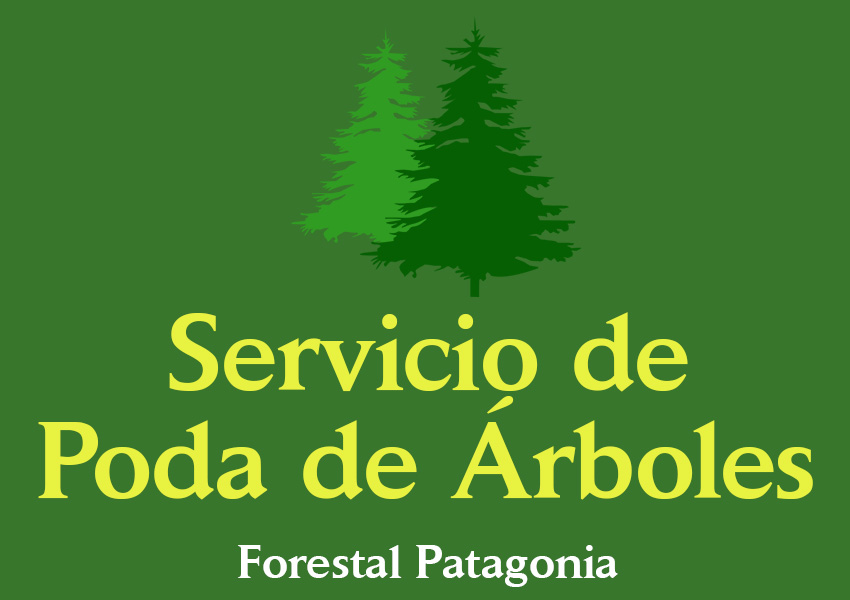 Forestal Patagonia